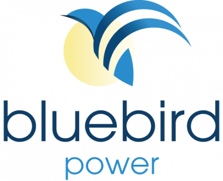 Bluebird-Logo